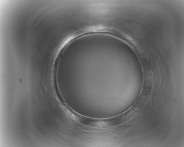 X0000066521463200603171205