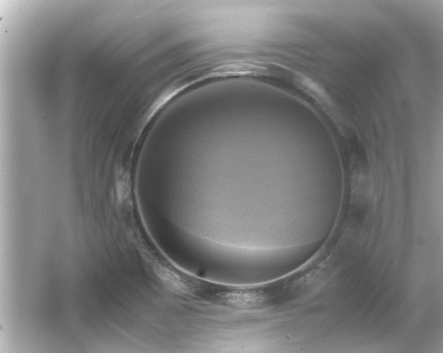 X0000066521465200603171205