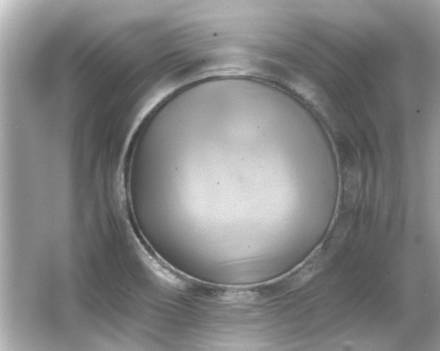 X0000066521466200603171205