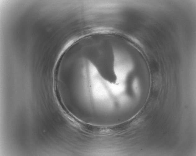 X0000066521467200603171205