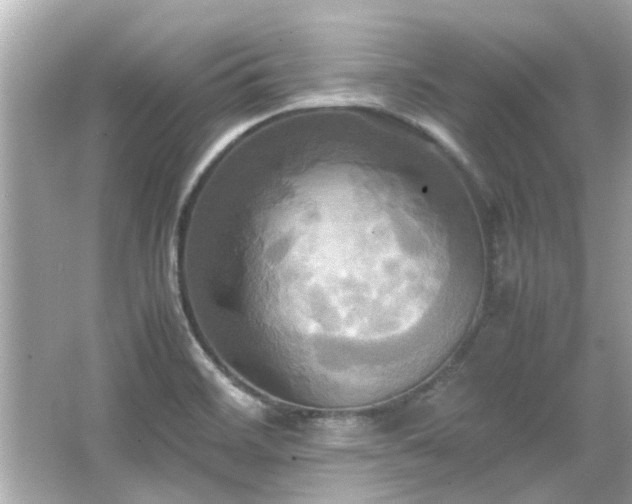 X0000066521468200603171205