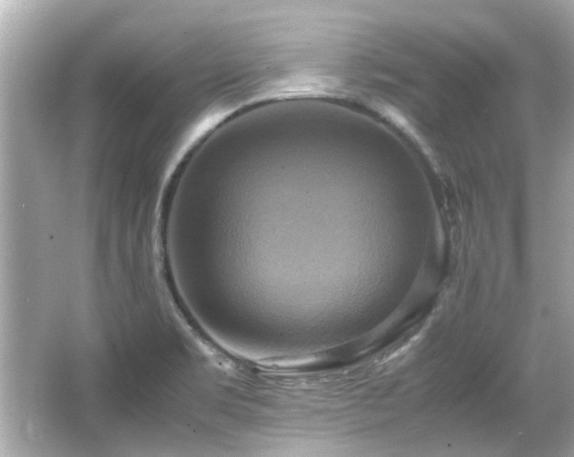 X0000066521469200603171205