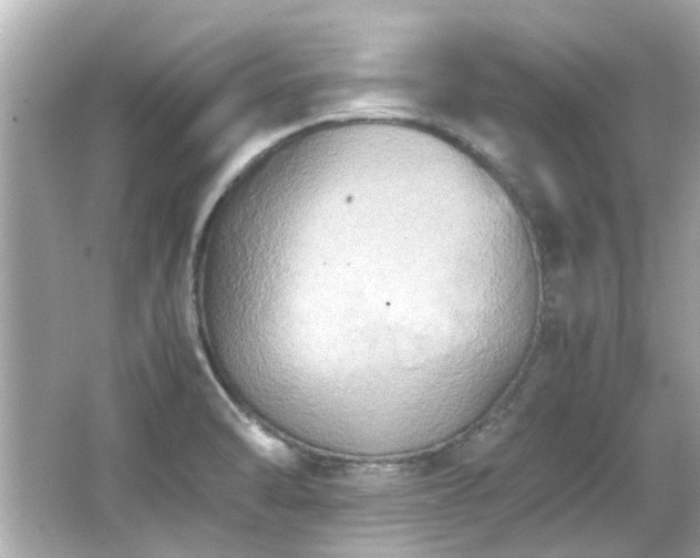 X0000066521470200603171205