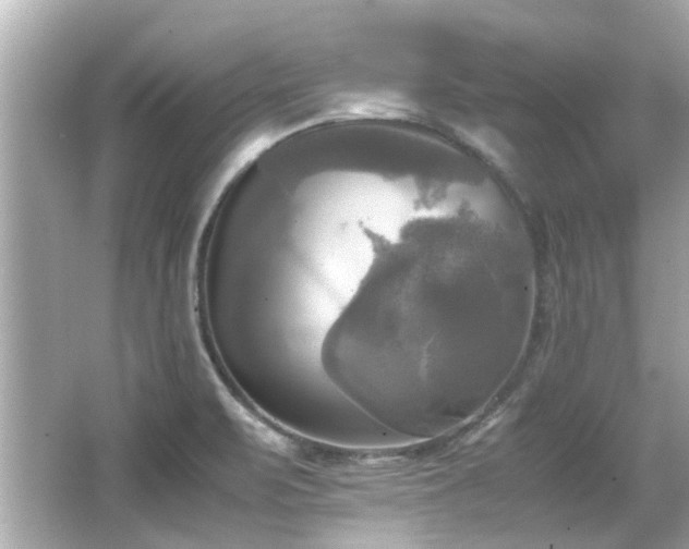 X0000066521471200603171205