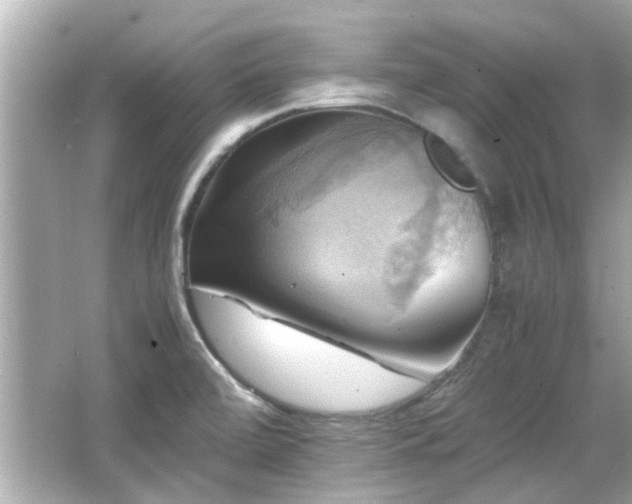 X0000066521472200603171205