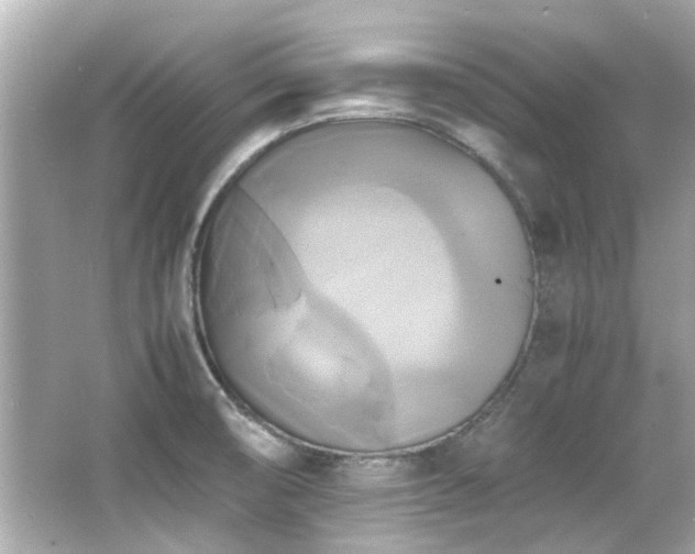 X0000066521474200603171205