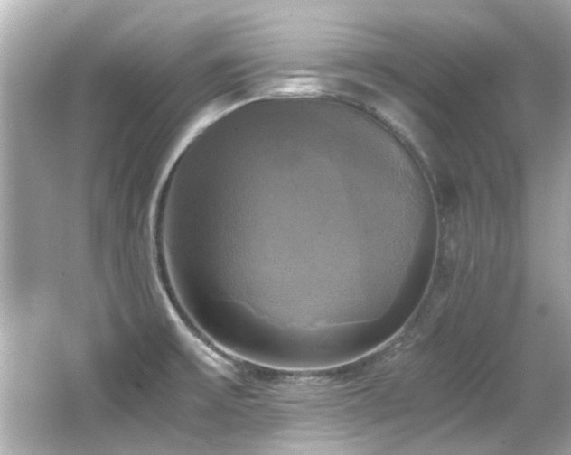 X0000066521475200603171205