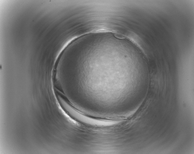 X0000066521476200603171205