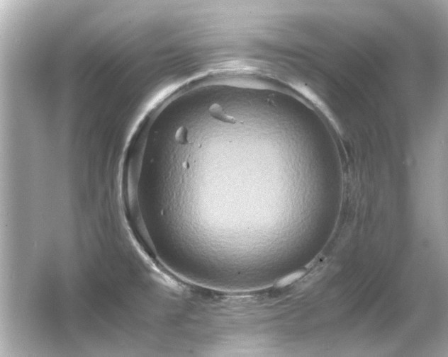 X0000066521477200603171205