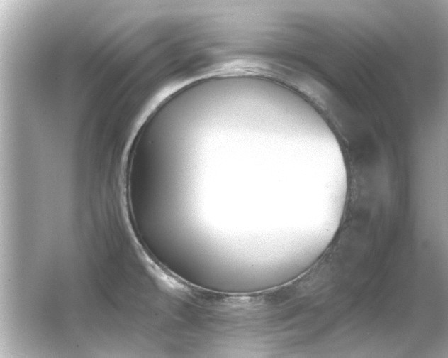 X0000066521478200603171205