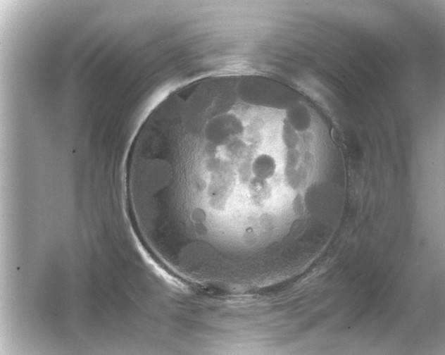 X0000066521479200603171205