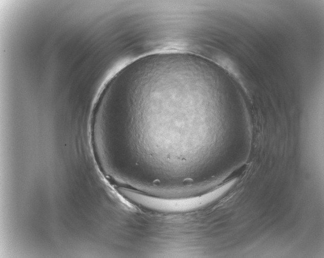 X0000066521480200603171205