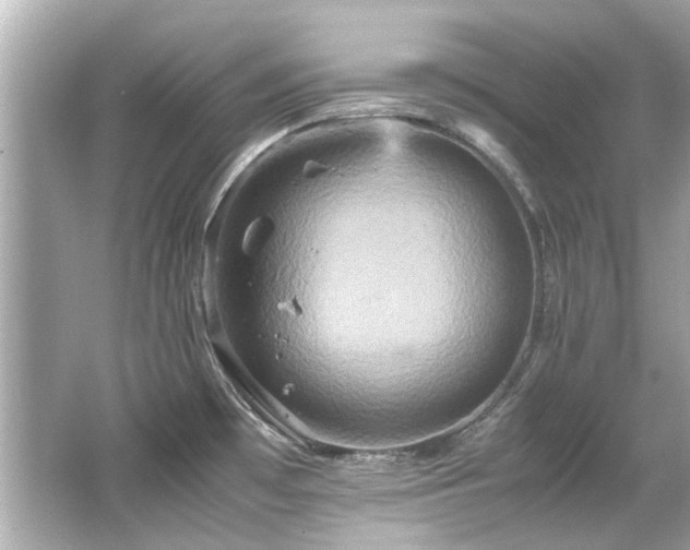 X0000066521481200603171205