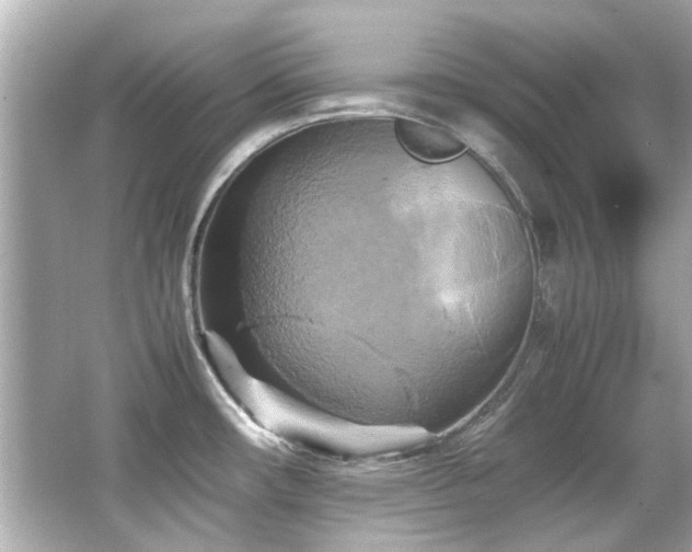 X0000066521482200603171205