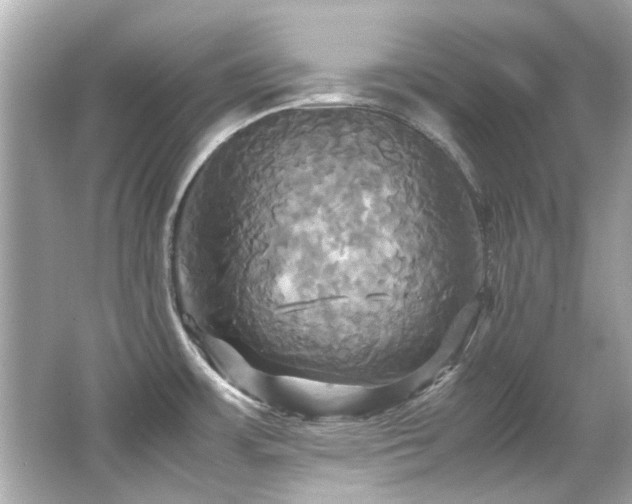 X0000066521483200603171205