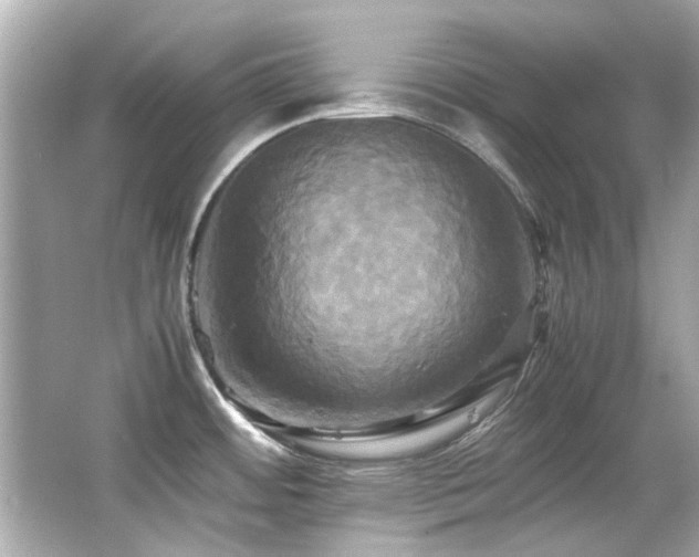 X0000066521484200603171205