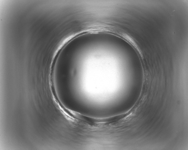 X0000066521485200603171205