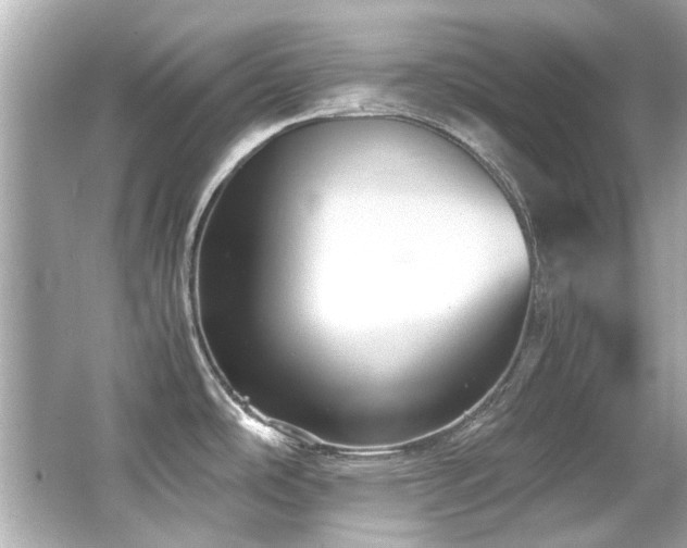 X0000066521486200603171205