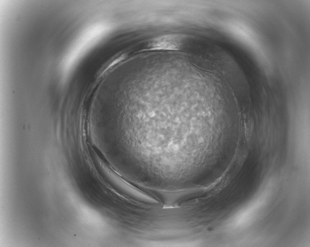 X0000066521487200603171205