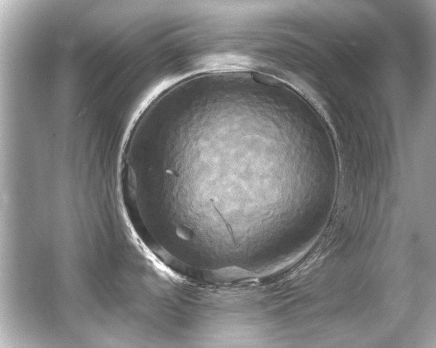 X0000066521488200603171205