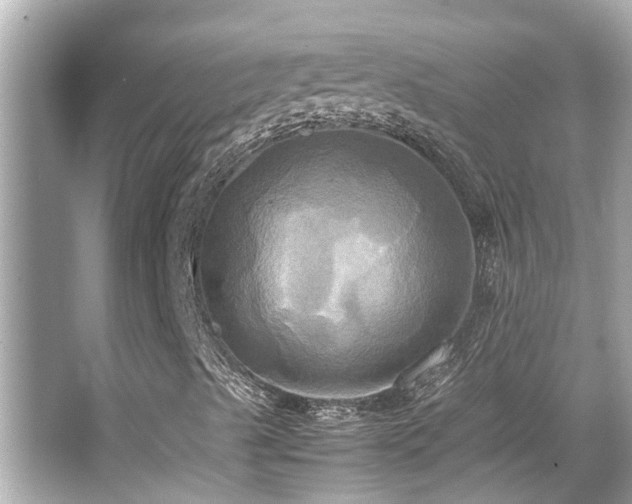 X0000066521489200603171204