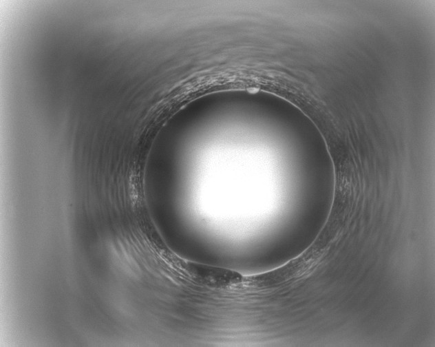 X0000066521490200603171204