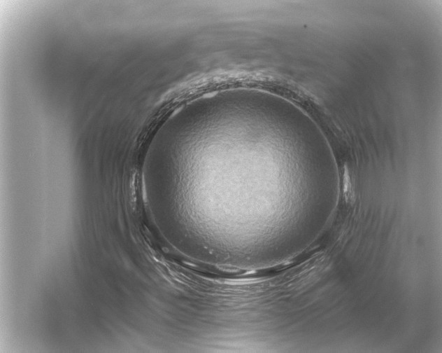 X0000066521492200603171204