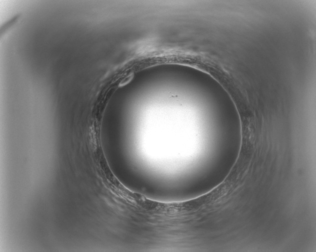 X0000066521493200603171204