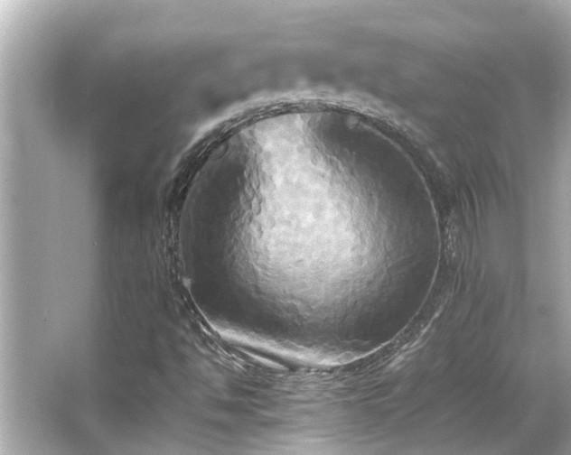 X0000066521494200603171204