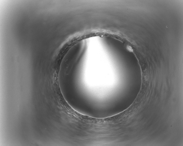 X0000066521495200603171204