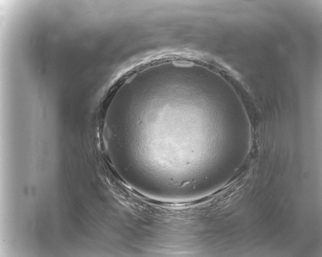 X0000066521496200603171204