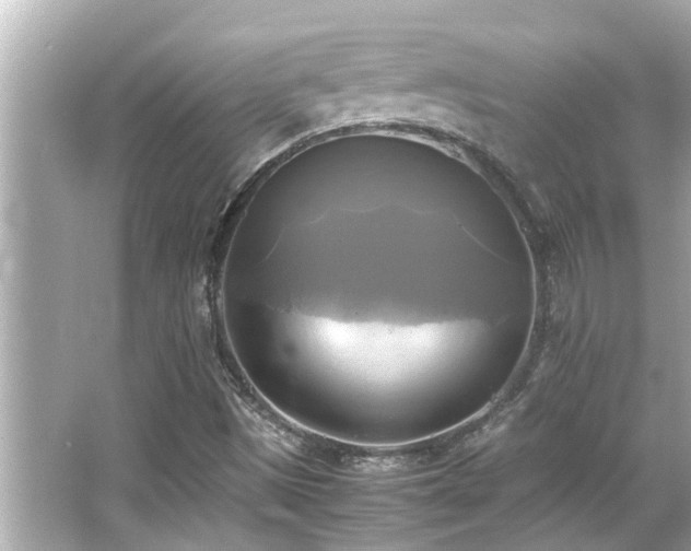 X0000066521497200603171204