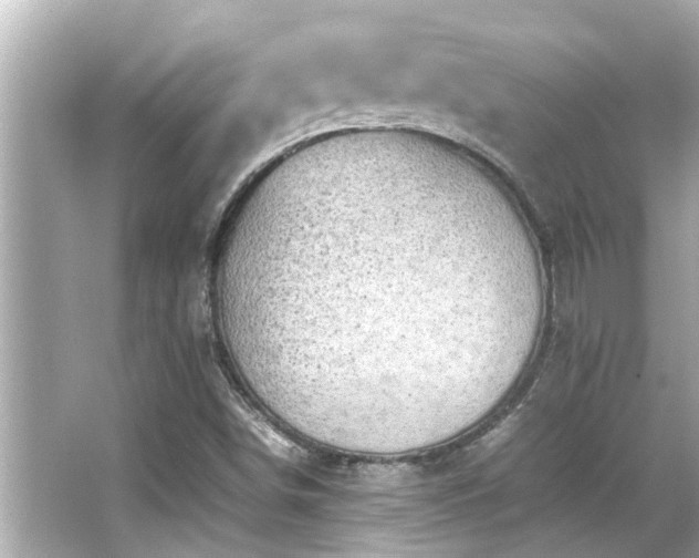 X0000066521498200603171204