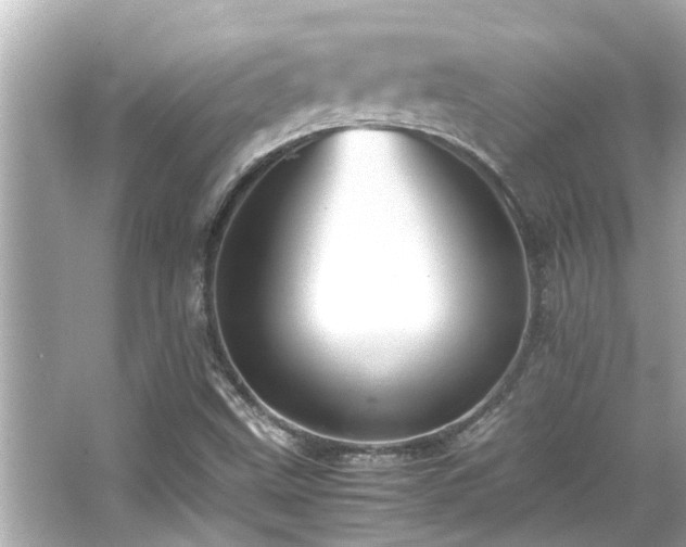 X0000066521499200603171204