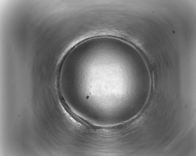 X0000066521500200603171204