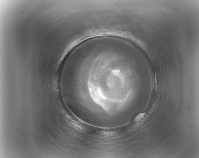 X0000066521501200603171204