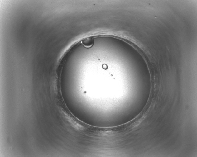 X0000066521502200603171204