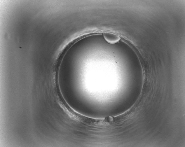 X0000066521503200603171204