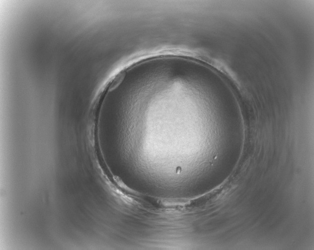 X0000066521504200603171204