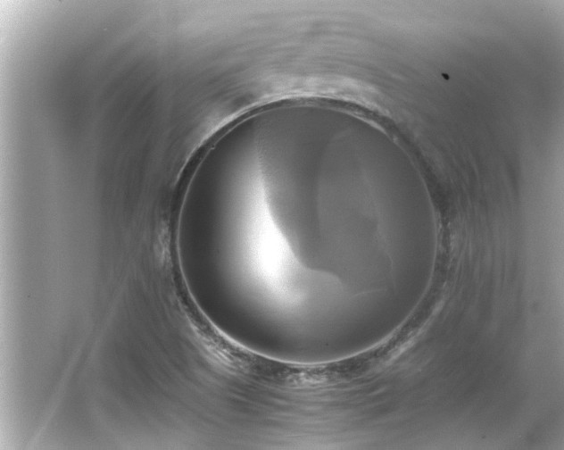 X0000066521505200603171204