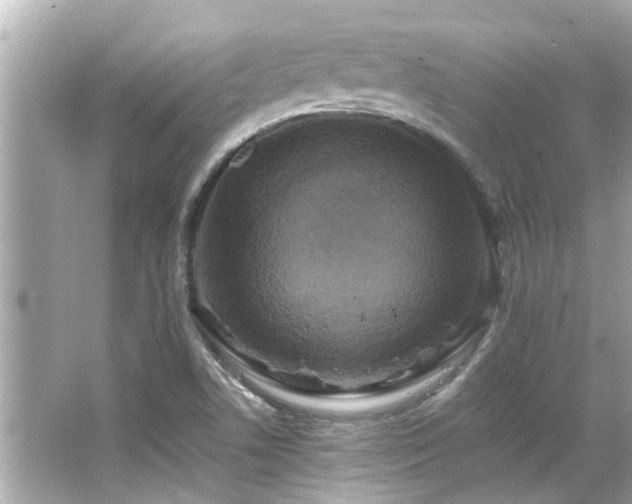 X0000066521506200603171204