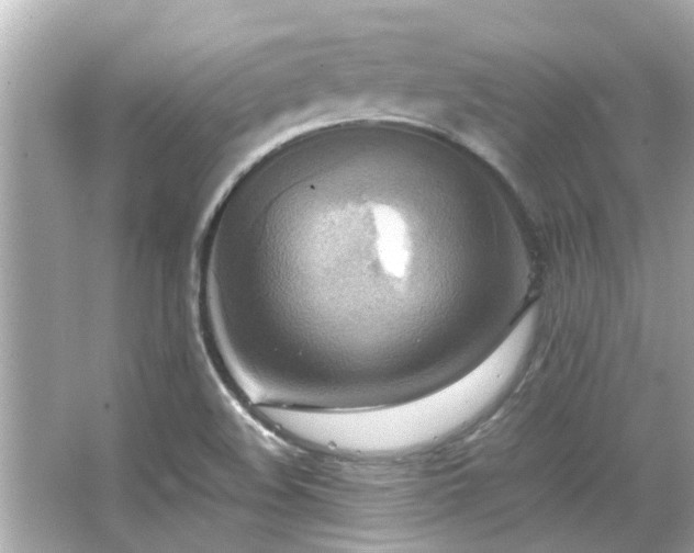 X0000066521508200603171204