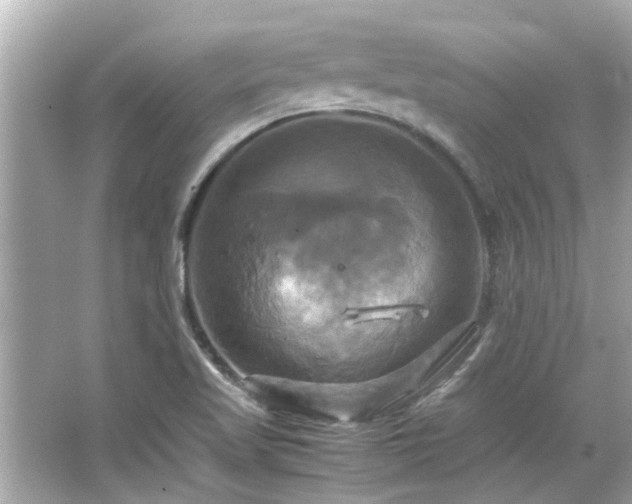 X0000066521509200603171204