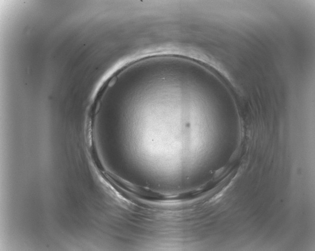 X0000066521510200603171204