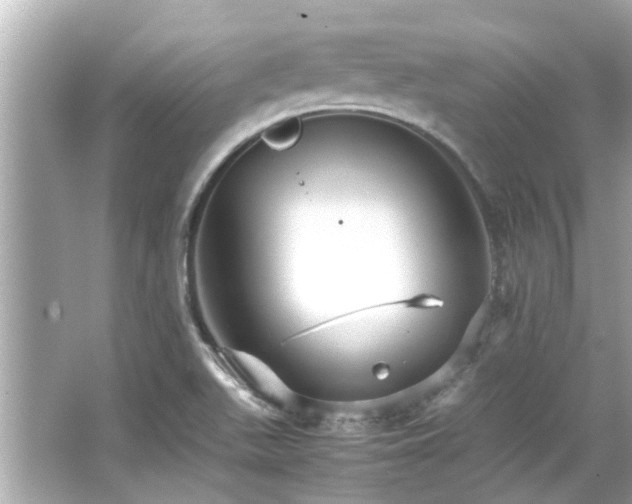 X0000066521511200603171204