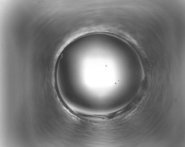 X0000066521512200603171204