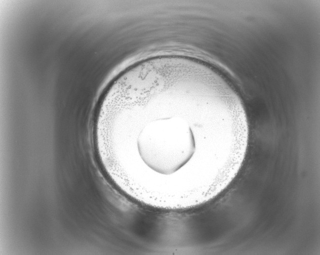 X0000066521514200603171205