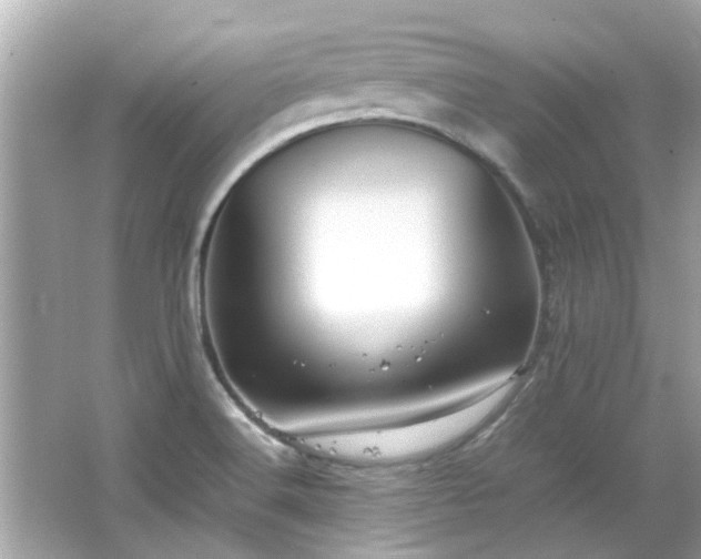 X0000066521516200603171205