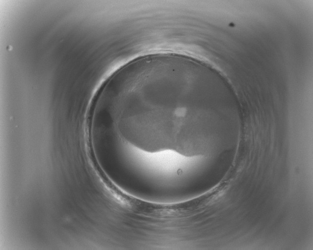 X0000066521517200603171205