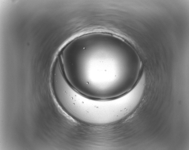 X0000066521518200603171205